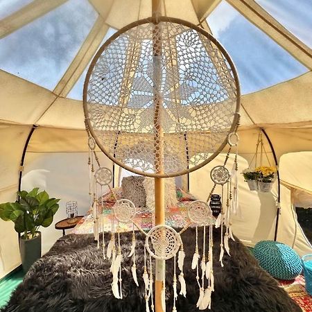 The Aries-A Stargazing, Luxury Glamping Tent Rogersville Exteriör bild