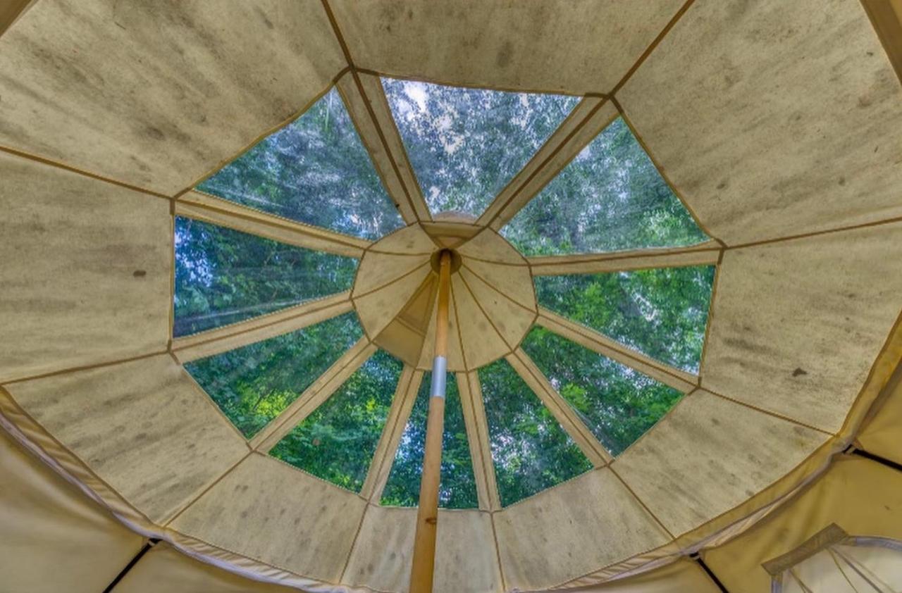 The Aries-A Stargazing, Luxury Glamping Tent Rogersville Exteriör bild
