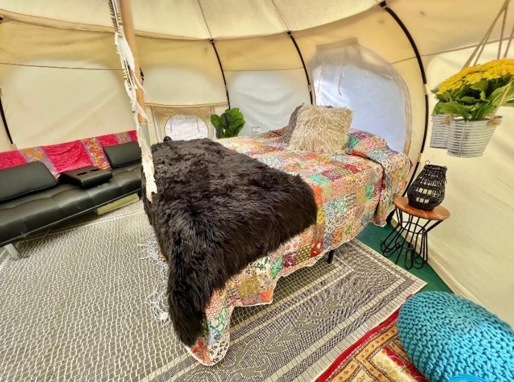 The Aries-A Stargazing, Luxury Glamping Tent Rogersville Exteriör bild